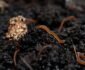 Seven Unconventional Knowledge About Nature That You Can’t Learn From Books