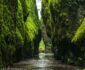 Seven Unconventional Knowledge About Nature That You Can’t Learn From Books